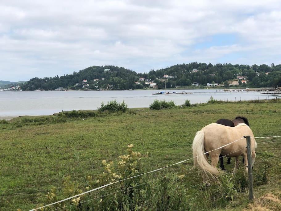 Apartment Right Next To The Golf Course And With The Ocean Just Around The Corner Ljungskile Exterior foto